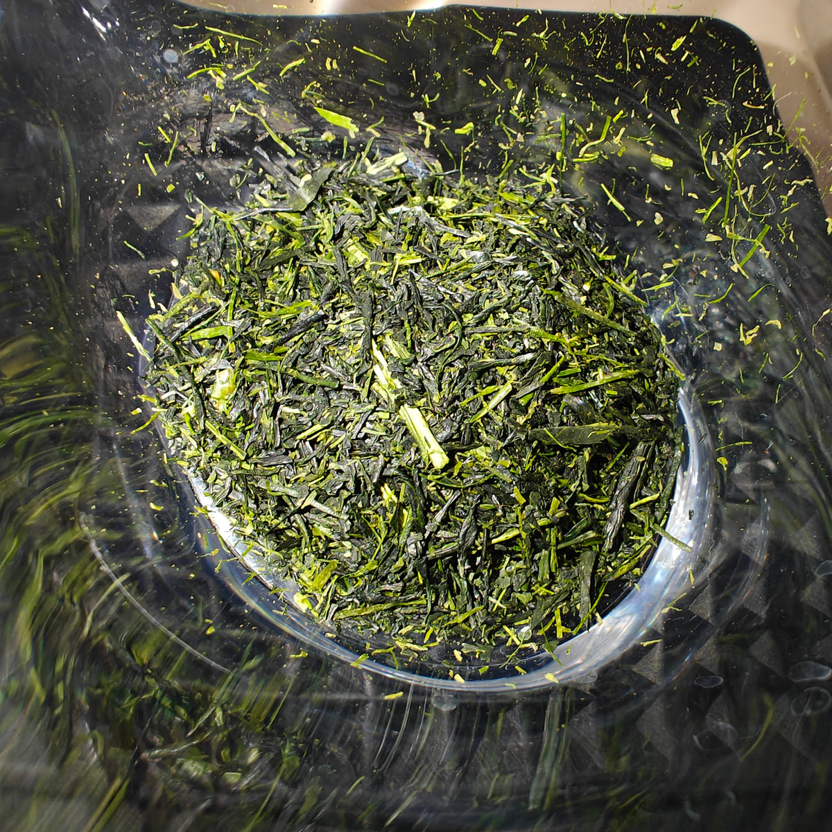 Okuro 奥露 Yame Kabusecha | Tenshin Matcha