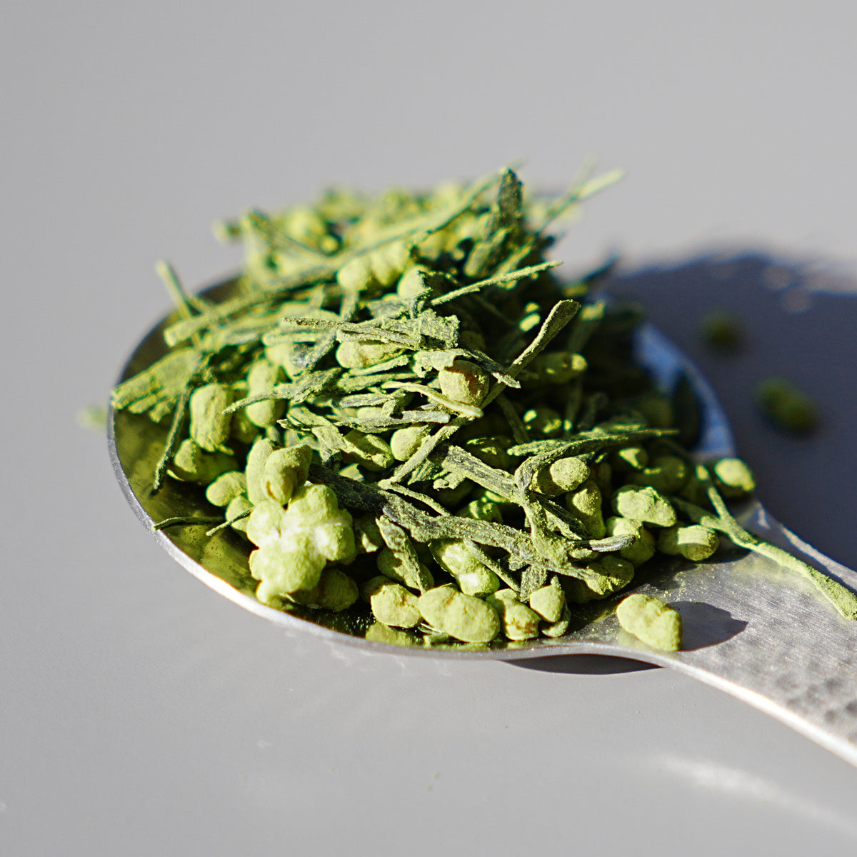 Uji Tezumi Gen-Matcha | Hasegawa 長谷川