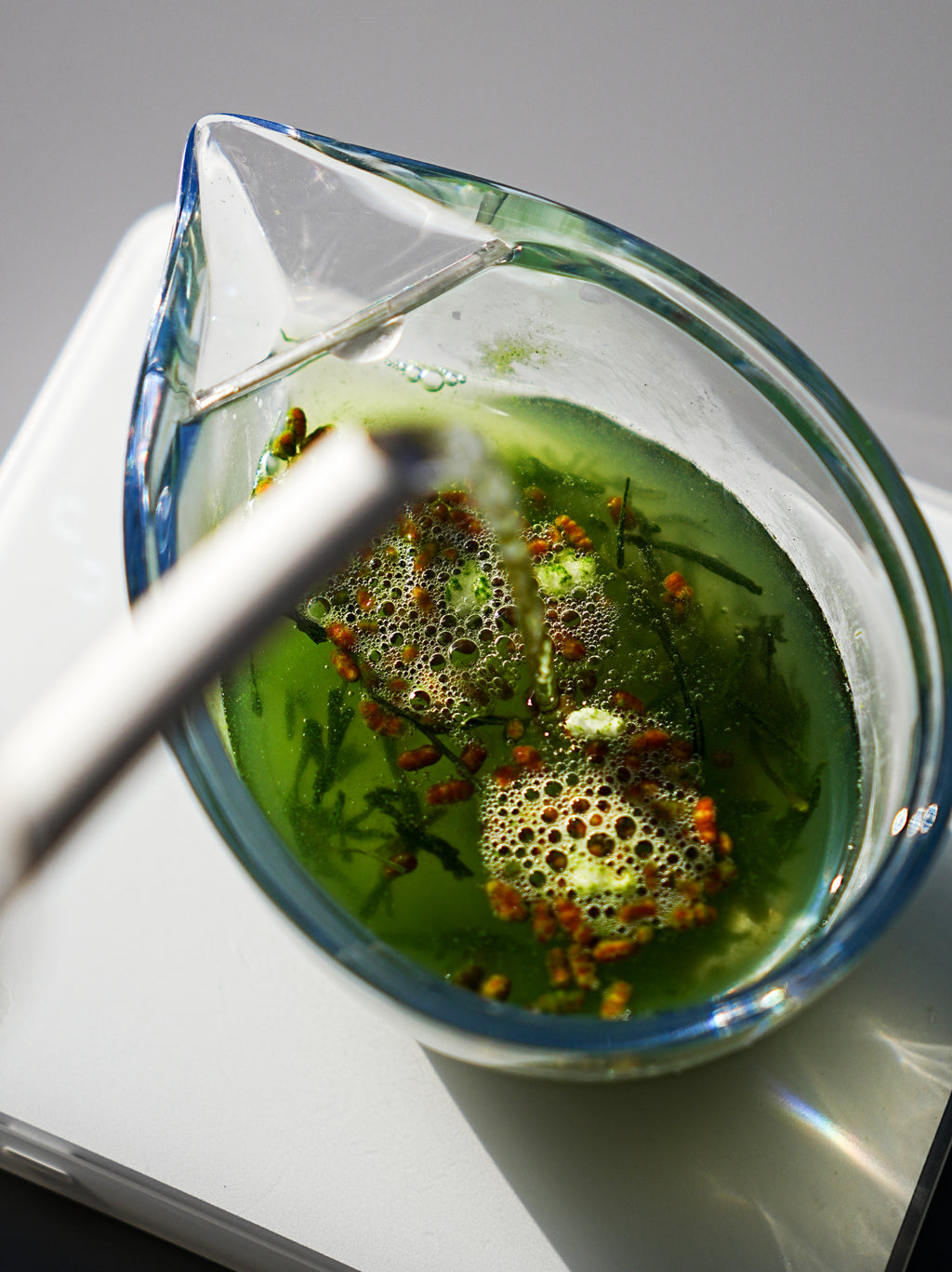 Uji Tezumi Gen-Matcha | Hasegawa 長谷川