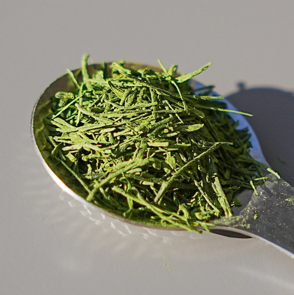 Uji Tezumi Sen-Matcha | Hasegawa 長谷川